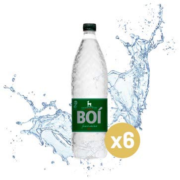 Agua Mineral | Caldes de Boi | 1,5 litros | 6 pack