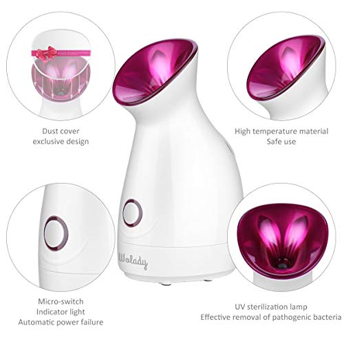 AIJOAIM Vaporizador Facial Sauna SPA Facial para Nano Ionic Hot Device Limpieza Profunda poro Espinillas Vaporizer Electronic Personal Skin Care