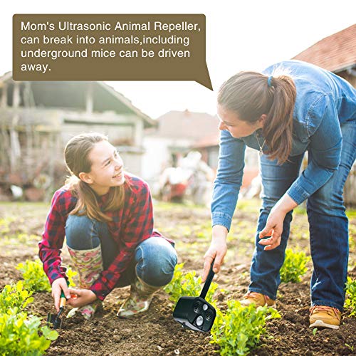 Alarma Solar, Alarma portátil contra Intrusos al Aire Libre de 120dB / Repelente de Animales/Antirrobo para Acampar en Exteriores móviles: para Ladrones, Ardillas, etc.