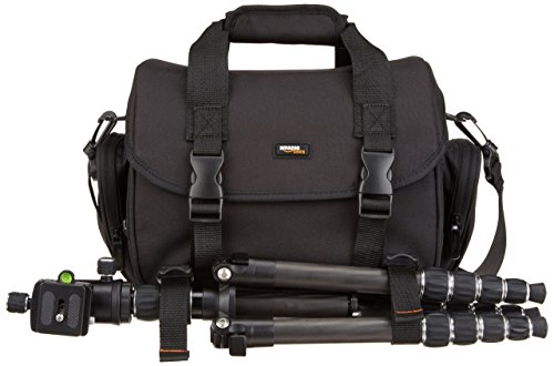 AmazonBasics - Bolsa para cámaras DSLR y accesorios (tamaño grande), negro