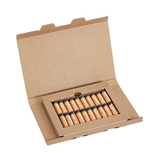 AmazonBasics - Pilas alcalinas AA 'Performance' (Paquete de 20) - Diseño variable