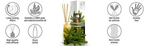 Ambientador de Pino 100ml con Varillas de Ratán - con Aceite Puro Natural de Pino - Difusor de Varillas para de Pino pour Cuartos - Baños - Hogares - Oficinas - Boutiques - Restaurantes Aromaterapia