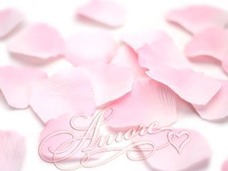 Amore 200 Boda pétalos de Rosa (200 Unidades, Seda, Doble Rosa 2 Pulgadas de Ancho