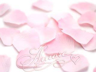 Amore 200 Boda pétalos de Rosa (200 Unidades, Seda, Doble Rosa 2 Pulgadas de Ancho