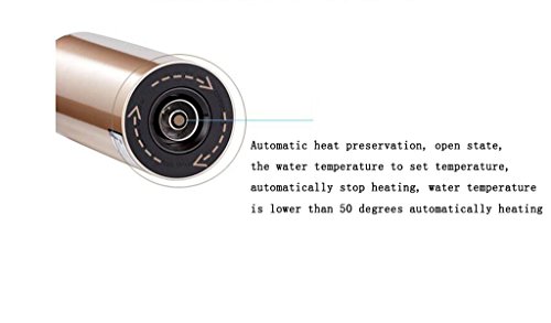 AN-LKYIQI Vehículo de viaje para el automóvil calentador de aislamiento taza hervidor de agua taza de calentamiento copa abierta , B