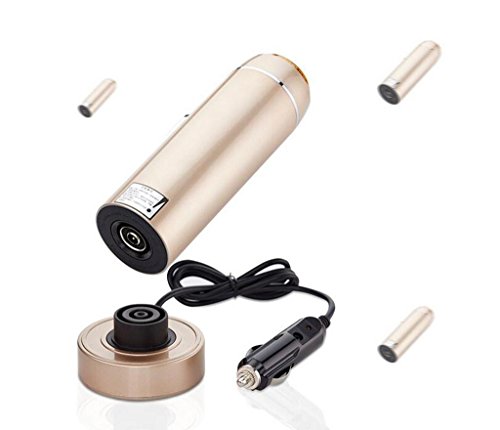 AN-LKYIQI Vehículo de viaje para el automóvil calentador de aislamiento taza hervidor de agua taza de calentamiento copa abierta , B