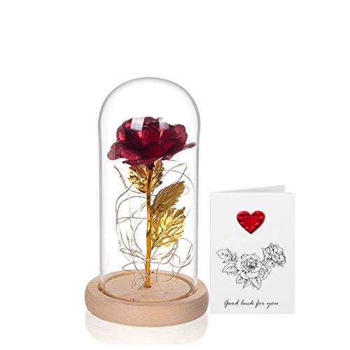 ANBET Hoja de Oro 24K Rosa en Cubierta de Vidrio, Bella y la Bestia Rose en Glass Dome Rosa eterna LED Light para el Regalo de Bodas de Aniversario de San Valentín