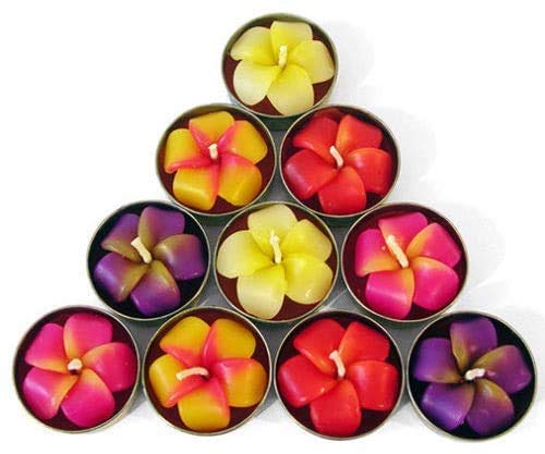 Angel's Pride Frangipani - Juego de 10 velas pequeñas en colores