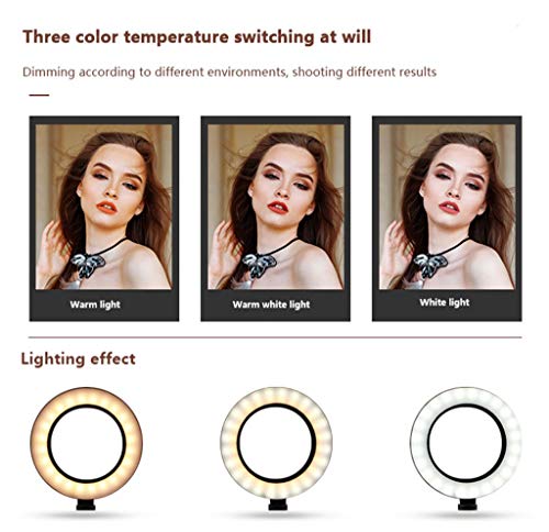 Anillo de luz LED regulable de 10 pulgadas con soporte de trípode 3 Modo de luz USB Belleza Luz suave Belleza Blog Clip de teléfono móvil Autodisparador compuesto Video de YouTube