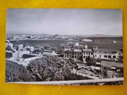 Antigua Postal - Old Postcard : Vista General desde el Terreno - Palma - MALLORCA