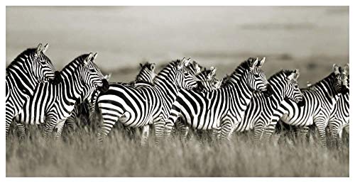 Artworks Italia Grant's Cebra, Masai Mara, Kenya-Paper Art 62"x32"