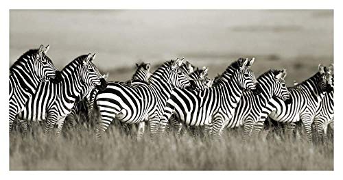 Artworks Italia Grant's Cebra, Masai Mara, Papel Kenia, 38 x 20 Pulgadas