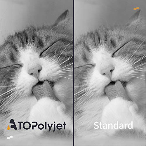 ATOPolyjet - Cartuchos de tinta remanufacturados para HP 62 XL 62XL compatibles con HP Envy 5540 5541 5542 5543 5544 5545 5546 5547 officejet 200 200c 250c 258 5741 5742 5743 Impresora (1 Negro)