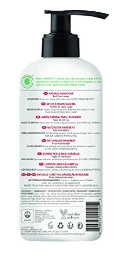 ATTITUDE Super Leaves Jabón de Manos Hojas de Vino Tinto Dosificador 473ml