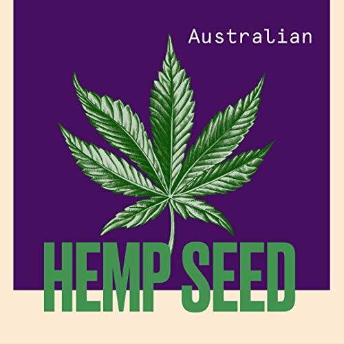 Aussie Staycation - Mascarilla para el cabello