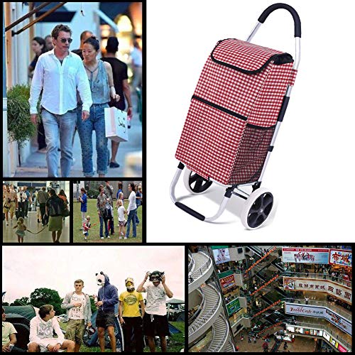 AYT Carro de la Compra, Aluminio Ligero Aleación Fácil de Plegar 2 en 1 Carro de la Compra fácil de Transportar, Gran Capacidad de 50 litros para Que Las Personas Mayores compren,C