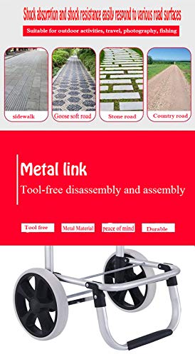 AYT Carro de la Compra, Aluminio Ligero Aleación Fácil de Plegar 2 en 1 Carro de la Compra fácil de Transportar, Gran Capacidad de 50 litros para Que Las Personas Mayores compren,C