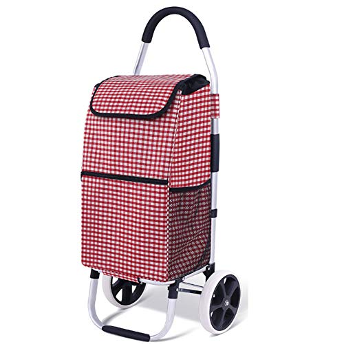 AYT Carro de la Compra, Aluminio Ligero Aleación Fácil de Plegar 2 en 1 Carro de la Compra fácil de Transportar, Gran Capacidad de 50 litros para Que Las Personas Mayores compren,C