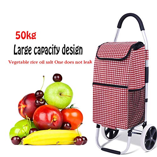AYT Carro de la Compra, Aluminio Ligero Aleación Fácil de Plegar 2 en 1 Carro de la Compra fácil de Transportar, Gran Capacidad de 50 litros para Que Las Personas Mayores compren,C
