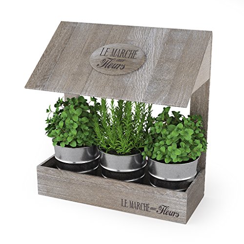 Balvi - Le Marché aux Fleurs huerto Urbano para Hierbas aromáticas en tú Cocina. con Capacidad para Tres Tipos de Plantas. No Incluye Tierra ni Semillas. Fabricado en Metal y Madera