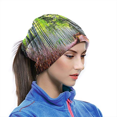 Bamboo Forest Road Nature Fashion Calentador de cuello de microfibra de esquí cálido