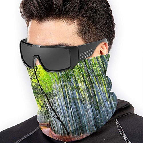 Bamboo Forest Road Nature Fashion Calentador de cuello de microfibra de esquí cálido