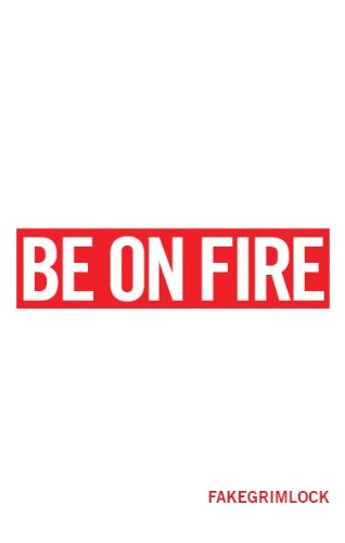 BE ON FIRE (English Edition)