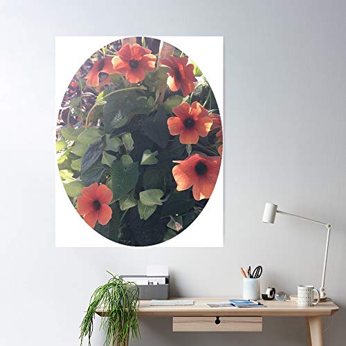 Beautiful Orange Fragrant Csned Lovely Petunia Flowers Pretty Regalo para la decoración del hogar Wall Art Print Poster 11.7 x 16.5 inch