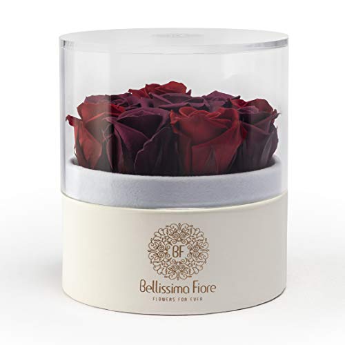 Bellissima Fiore Rosa Burdeo-Violeta Preservada Flores Decoración Habitación Regalo Original Cumpleaños, Aniversario, Madres, San Valentín, Sant Jordi, Novios Mesa Auxiliar Accesorio Rosas Eternas