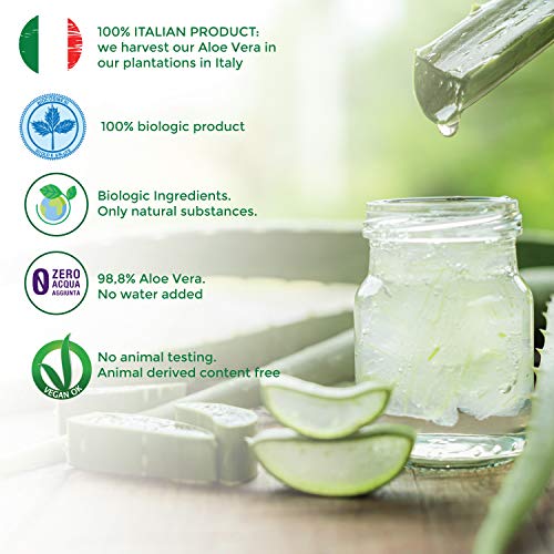 Benessence - Champú reparador orgánico Aloe Vera 250 ml
