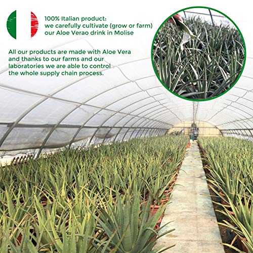 Benessence - Champú reparador orgánico Aloe Vera 250 ml