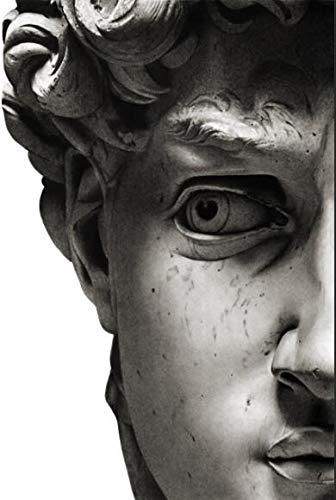 Blanco y negro David Michelangelo Escultura Empalme Cara estatua Lienzo Pintura Retrato Póster Arte de la pared Imagen Sala de estar Dormitorio Oficina Decoración del hogar