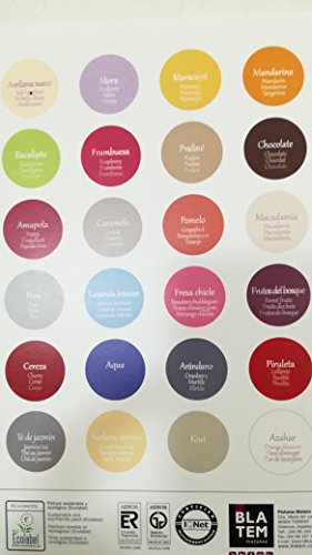 BLATEM - Fragancias/969-Mandarina 2,5L