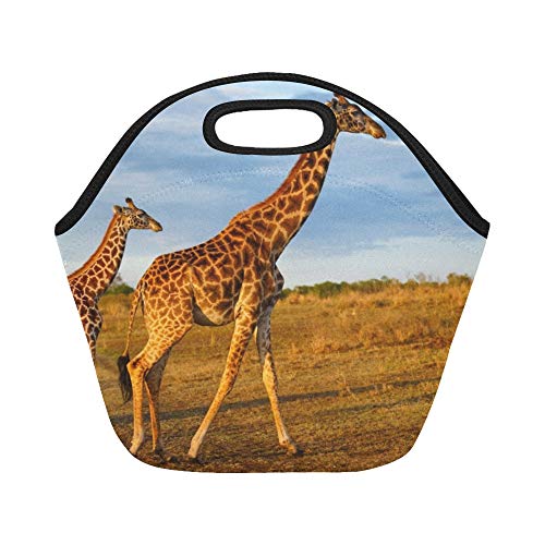 Bolsa de almuerzo de neopreno aislada Masai Jirafa Ternera Masai Mara Kenia Bolsas de almuerzo gruesas térmicas reutilizables de gran tamaño para cajas de almuerzo para exteriores, trabajo, oficina, e