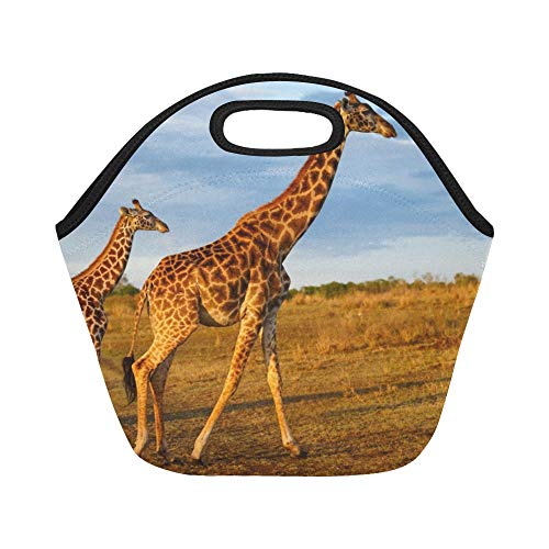 Bolsa de almuerzo de neopreno aislada Masai Jirafa Ternera Masai Mara Kenia Bolsas de almuerzo gruesas térmicas reutilizables de gran tamaño para cajas de almuerzo para exteriores, trabajo, oficina, e