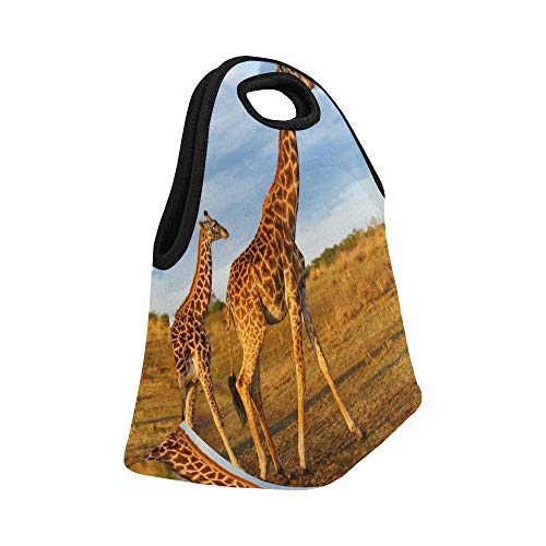 Bolsa de almuerzo de neopreno aislada Masai Jirafa Ternera Masai Mara Kenia Bolsas de almuerzo gruesas térmicas reutilizables de gran tamaño para cajas de almuerzo para exteriores, trabajo, oficina, e