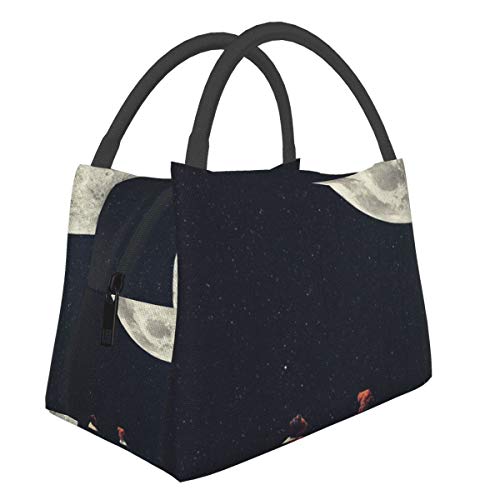 Bolsa térmica portátil para el almuerzo con cierre de cremallera, I Gave You The Moon for A Smile a prueba de fugas, bolsa plegable reutilizable para pícnic, viajes, trabajo, escuela, almuerzo