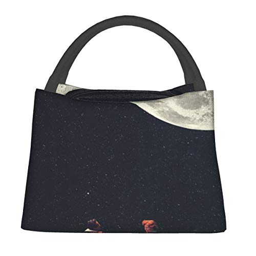 Bolsa térmica portátil para el almuerzo con cierre de cremallera, I Gave You The Moon for A Smile a prueba de fugas, bolsa plegable reutilizable para pícnic, viajes, trabajo, escuela, almuerzo