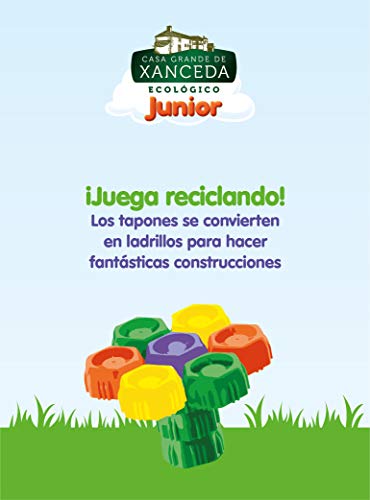 Bolsita de fruta ecológica de Casa Grande de Xanceda -14uds x 90g