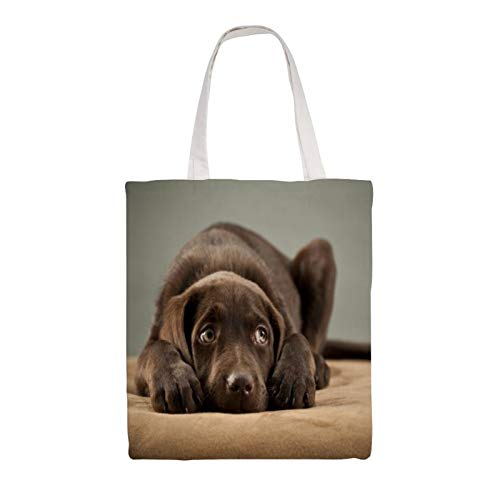 Bolsos de lona, adorable chocolate Lab Puppy reutilizables bolsas de compras lavables y ecológicas bolsas de hombro con asas de 15 pulgadas por 16 pulgadas