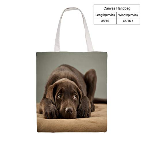 Bolsos de lona, adorable chocolate Lab Puppy reutilizables bolsas de compras lavables y ecológicas bolsas de hombro con asas de 15 pulgadas por 16 pulgadas