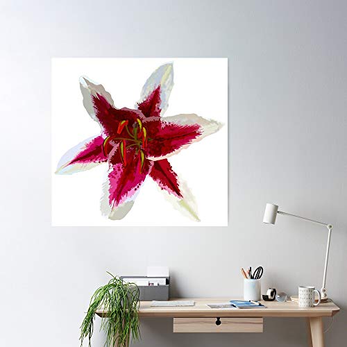Botany Sciart Lilium Fragrant Lily Stargazer Oriental Hybrid Flower El póster de decoración de interiores más impresionante y elegante disponible en tendencia ahora