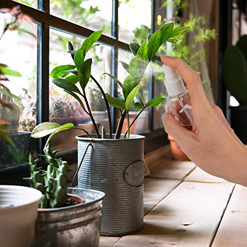 Botellas de spray Vacía Transparente, Botella de Aerosol Viaje, plástico, Bote Spray Pulverizador y 2 Embudos para Maquillaje para Vacaciones, Viajes de Negocios, Maquillaje, Limpieza, 6 Piezas