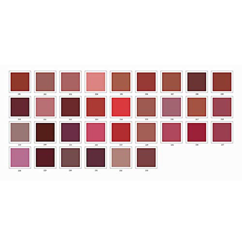 Brooklin Lápiz de Labios Color Berenjena Pastel N216 Duradero Agua Resistente