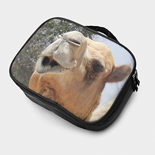 Camel Head - Bolsa de maquillaje portátil para exteriores, diseño de camello Oasis