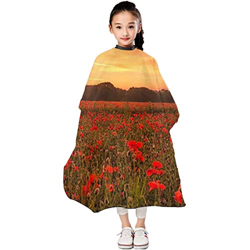 Capa de peluquería para niños de corte de pelo, impermeable, unisex, capa de peluquería – Polo Nebo Solntse Oblaka Luchi Peizazh Zakat Tsvety Prirod