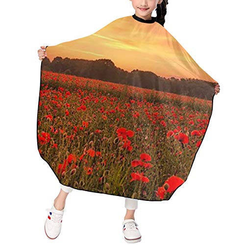 Capa de peluquería para niños de corte de pelo, impermeable, unisex, capa de peluquería – Polo Nebo Solntse Oblaka Luchi Peizazh Zakat Tsvety Prirod