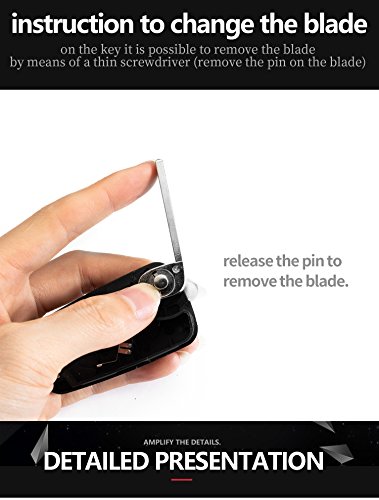 Carcasa Funda Llave Remoto Mando 2 Botones para Opel Insignia Astra Zafira Vauxhall Holden Mokka con Llavero de Cuero KASER