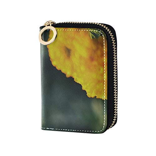 Cartera para Tarjetas de crédito para Mujer Beautifui Portatarjetas de Flores de caléndula Brillante Monedero Monedero de Cuero PU con Cremallera Alrededor Titular de la Tarjeta de tamaño Compacto Mi