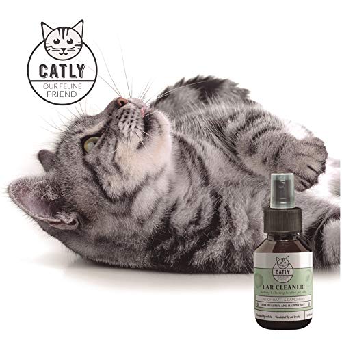 Catly Limpiador del oído para el Gato | Bio-Aerosol de Hamamelis 100Ml | Champú seco Alternativa